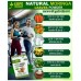 Natural Moringa Leaves Powder 250gm